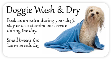 dog wash and dry display